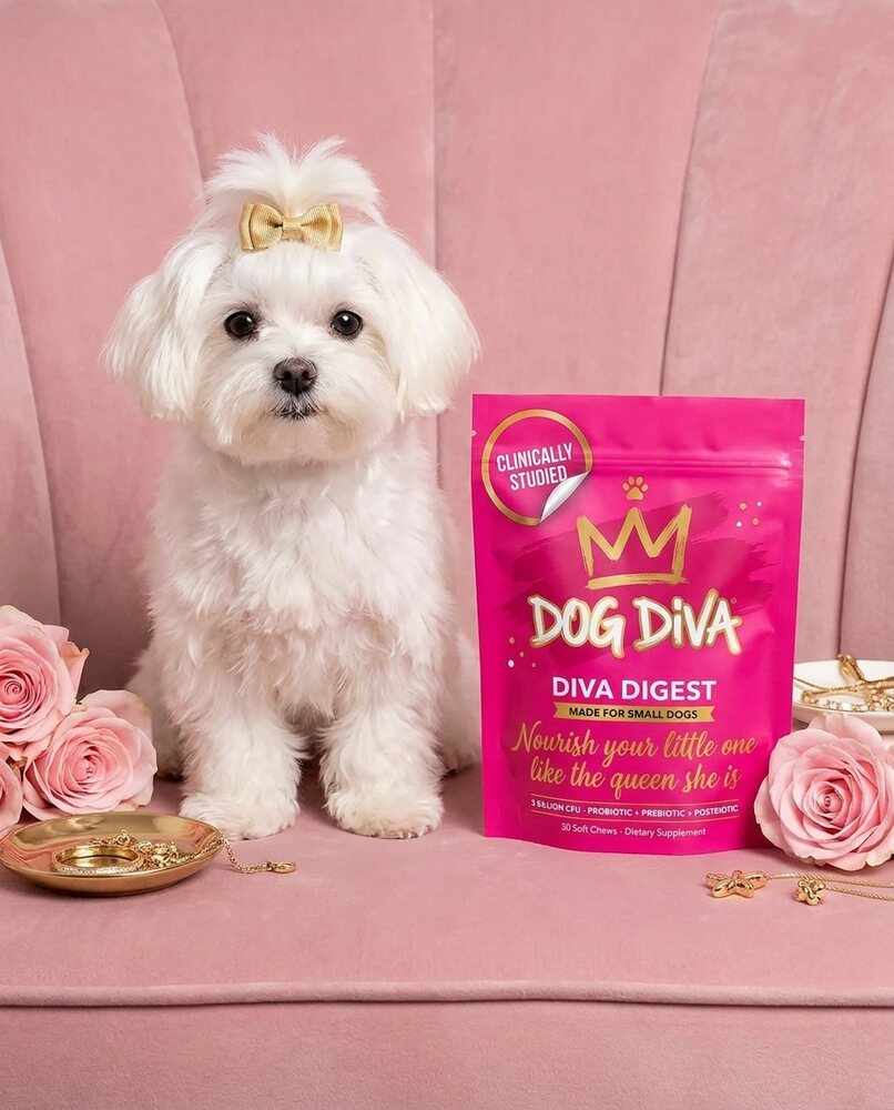 Dog Diva Co